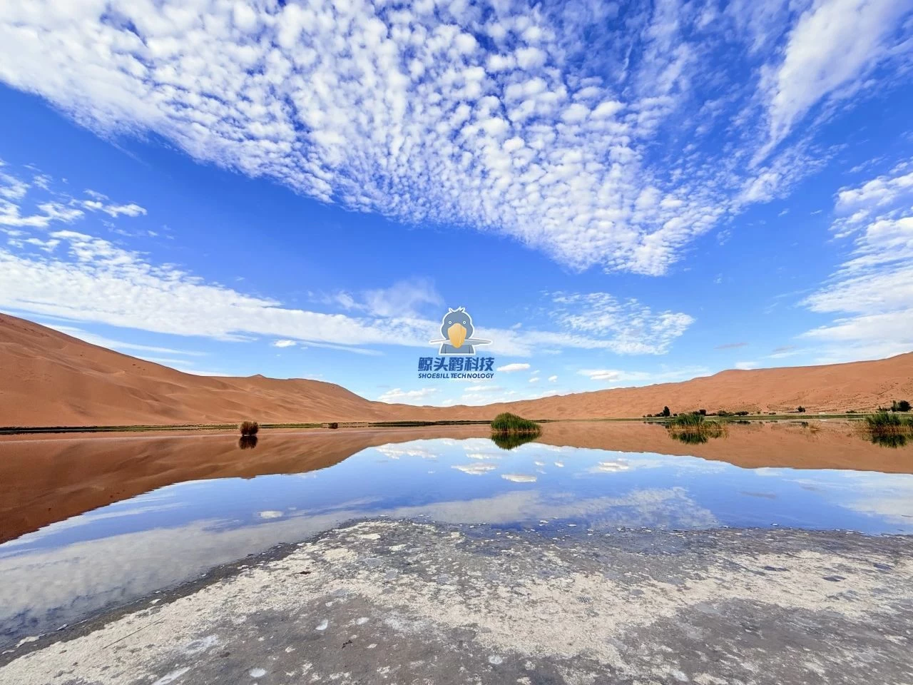 Menjelajah ke Jantung Gurun Menjelajah ke Jantung Gurun